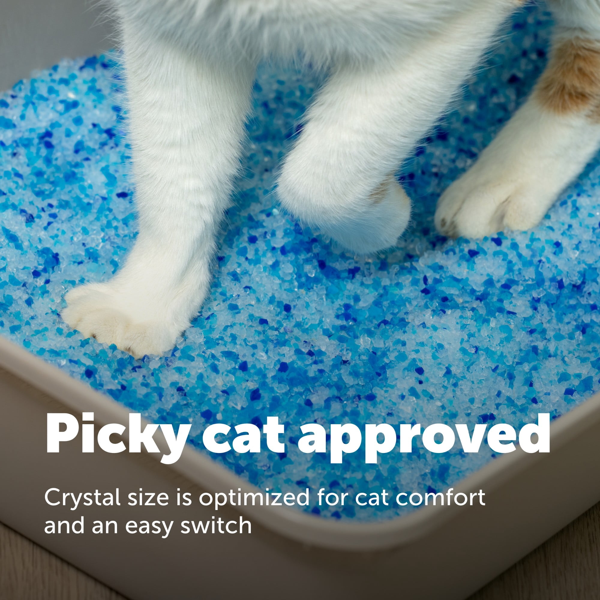 PetSafe ScoopFree Premium Fresh Crystal Cat Litter, 10 lb Bag, Odor Control Lasts Up to 2.5 Months