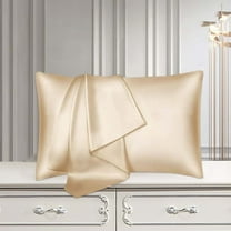 Silk Pillowcase - Satin Pillowcase For Hair And Skin Pillowcases, Standard Size Luxury And Soft Satin Pillow Covers, 20x30 Inches, Mulberry Silk Pillowcase