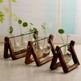 thumbnail image 2 of Wooden Frame Tabletop Vase Set Multi-Purpose Bonsai Planter Hydroponic Base Terrarium Display Containers Home Decor Centerpiece, 2 of 9