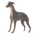 thumbnail image 2 of Juguete de Animales de Simulación Sunnimix Miniatura, 2 of 8