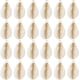 thumbnail image 1 of 1 caja de 30 dijes de concha de cauri, dijes de concha marina, dorados a granel, estilo veraniego natural, mar, océano, playa, elípticos, lindos dijes de concha, 1 of 6