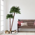thumbnail image 5 of Puleo International 3.5 ft./6 ft. Pre-Lit Artificial Palm Tree with 175 UL-Listed Lights, 5 of 6