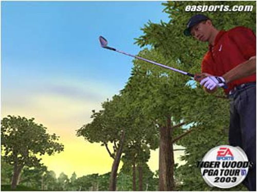 tiger woods pga tour 2003 golfers tiger woods pga tour 2003 golfers
