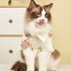 thumbnail image 5 of BRIGHTFUFU Pequeño perro ropa de gato fresa camisa transpirable mascota atuendo pequeño perrito ropa, 5 of 8
