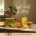 thumbnail image 5 of Gya Tea Co Lemon Balm Herbal Tea Pod (16 ct) - Decaf Nature Tea with Orange Peel for Refreshing & Digestion Health, 5 of 8