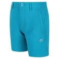 thumbnail image 3 of Regatta Boys/Girls Highton Walking Shorts, 3 of 5