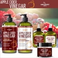 thumbnail image 5 of Hair Chemist Apple Cider Vinegar Revitalize & Nourish Revitalizing Premium Hair Oil with Apple Seed Oil 7.1 Ounce, 5 of 7