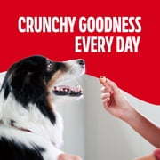 Milk Bone MaroSnacks Large Dog Treats with Real Bone Marrow, 40 ozs