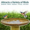 thumbnail image 4 of Sunnydaze Duo-Tone Freestanding Ceramic Outdoor Bird Bath, UV-Resistant Cognac Yellow Finish, 4 of 11