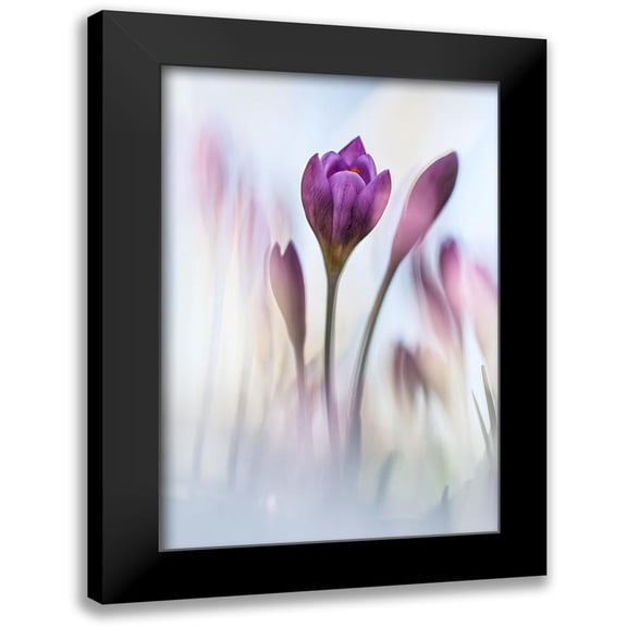 Daalder, Bob 13x18 Black Modern Framed Museum Art Print Titled - Dancing