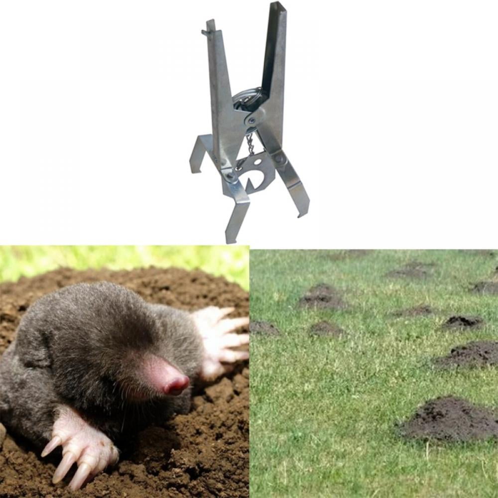 scissor jaw mole traps