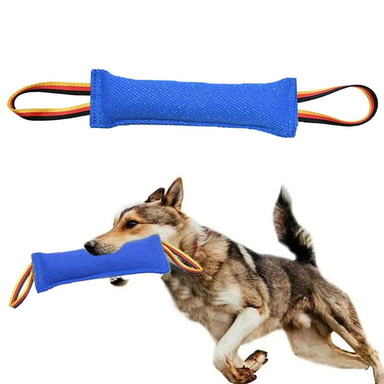 Dog online bite tug