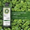 thumbnail image 3 of Shampoo Herbal Essences Detox Té Verde & Menta 600 ml, 3 of 5