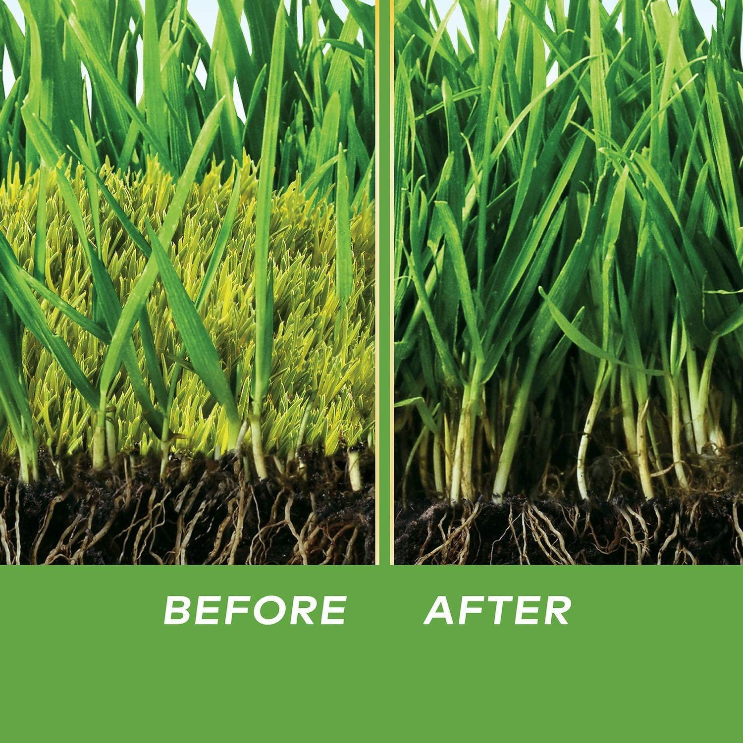 Scotts MossEx Moss Killer Fertilizer - For Lawns, Outdoor Use - 4.59 lb, 5,000 sq. ft.
