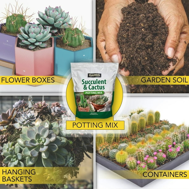 Harris Succulent and Cactus Potting Mix - 4 Dry Quarts - Walmart Business  Supplies