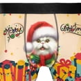 thumbnail image 4 of Merry Christmas Santa Persian Scarf Twinkling Lights Xmas Holiday All Over Print Boxer Briefs Underwear for Men Dad Cat Lover Kitten Owner Gifts - 00022, 4 of 6