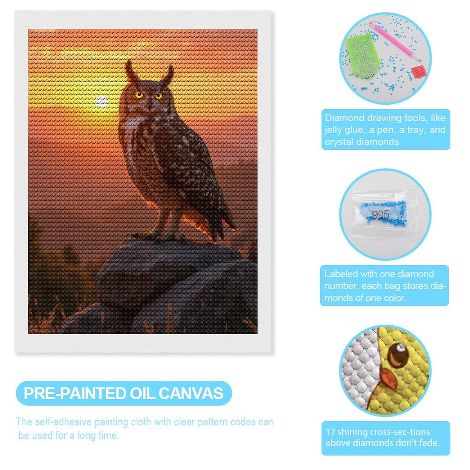 Diamond Art Kits for Adults, Owl Sunset Perched Rocks Scenic 5D Diamond Painting Kits for Adults Beginners, DIY Full Drill Diamond Painting, Gem Art and Crafts 12x16