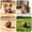 Brown, variant on Automatic Rolling Ball Cat Toys Cute, Motion-Activated Smart Dog Busy Toys with Silicone Tail, USB Rechargeable Interactive Toy Indoor Cats for Exercise
