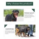 thumbnail image 5 of Paquete De 3 Cadenas Para Collar De Perro, Collar De Entrena, 5 of 6