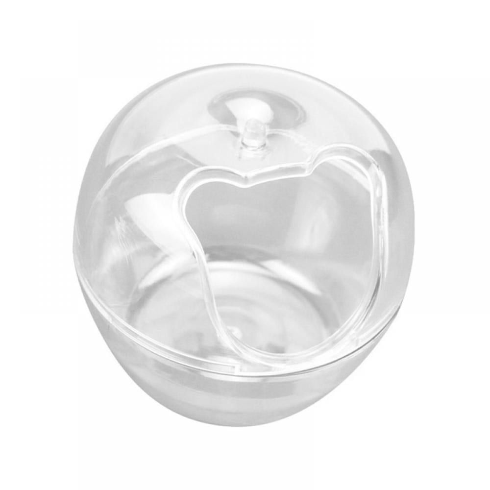 sugar glider dust bath