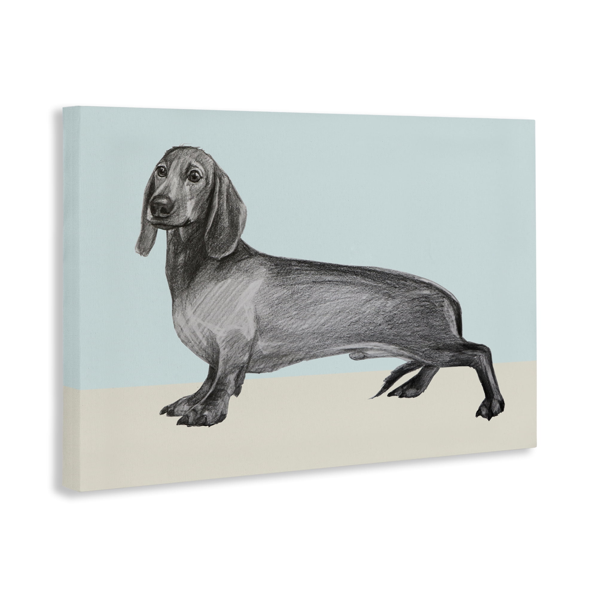 Stupell Industries Sketched Dachshund on Blue Canvas Wall Art, design by Violeta Vollmer