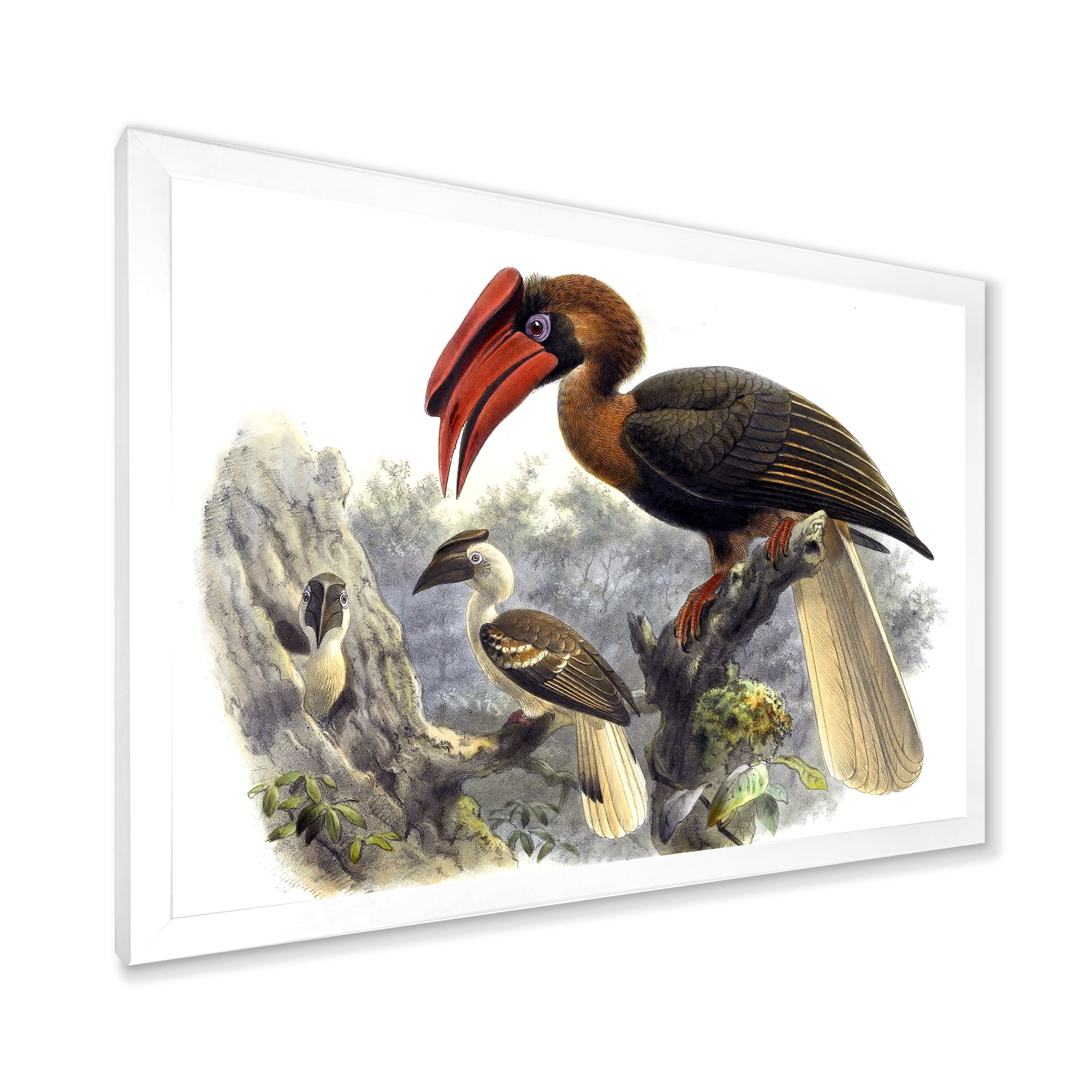 Designart 'Ancient Australian Birds XI' Traditional Framed Art Print