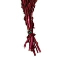 thumbnail image 3 of Vickerman 30" Merlot Amaranthus Bundle, Preserved, 3 of 4