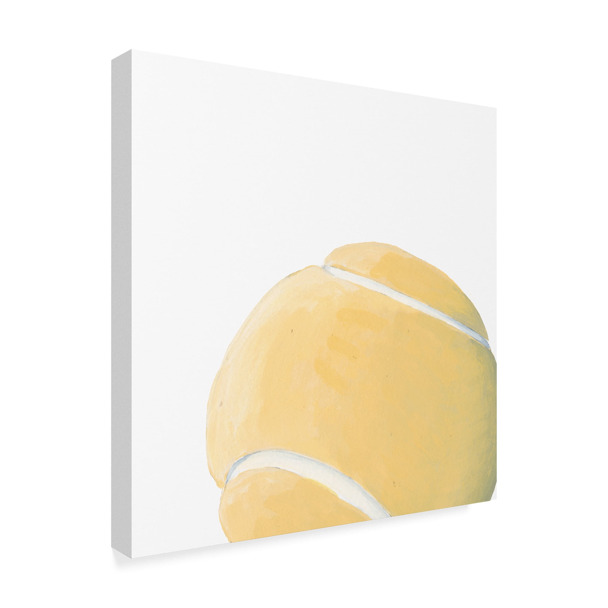 Trademark Fine Art 'Sporting X' Canvas Art by Naomi McCavitt