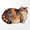 Orange Cat, variant on AJZIOJIRO Cute Cat Bath Mat, 3D Diatomaceous Earth Soft Shower Rug, Absorbent Quick Dry Non-Slip Silica Clay Floor Mat for Bathroom,Multicolored，Various sizes