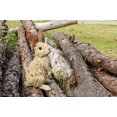thumbnail image 1 of RABBIT STANDING DRIFTWOOD LOOK, 1 of 4