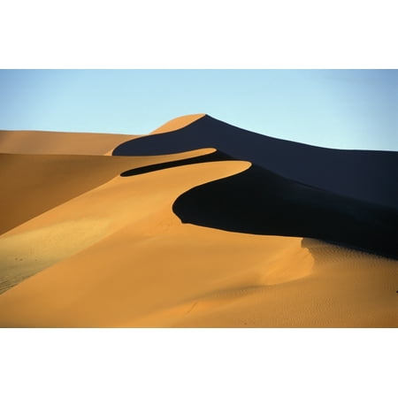 Posterazzi Sand Dune Against Clear Sky In Namib-Naukluft National Park Canvas Art - Sasha Gusov  Design Pics (38 x