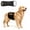 black, variant on Colenumone Washable Reusable Dog Diaper, Belly Bands for Male Dogs, Quilted Ultra-Absorbent Leak-Proof Wraps for Training & Incontinence