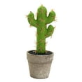 thumbnail image 1 of Artificial cactus plant potted creative indoor small decoration simulation flower, 1 of 5