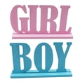 thumbnail image 1 of Madera Reveal Decoraciones De Mesa Baby Girl Boy Table Signs Bloques De Letras Blue Pink Table Centerpieces Para Baby Shower Decor matsuzay HA039351-00, 1 of 6