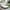 Beige, variant on Patio Sectional Daybed, Outdoor Wicker Furniture Set with Retractable Canopy, Sectional Sofa Set w/Height Adjustable Table & Cushions for Patio Deck Poolside Garden Backyard