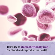 Garden of Life Vitamin Code Raw Prenatal, 180 Vegetarian Capsules