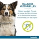 thumbnail image 5 of Collar Antipulgas Perros Mayores De 8 Kg Levamdar pequeño, 5 of 5