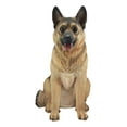 thumbnail image 5 of Ebros Gift 21.25" German Shepherd Dog with Glass Eyes Garden Statues, Realistic, 5 of 5
