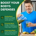 thumbnail image 4 of Fruits and Veggies Supplement (60 Day Supply) Powerfull Blend of 39 Whole Fruits and Veggies, Fills Nutritional Gaps, Get Energy, Well-being. USA Made Non-GMO/Vegan/Gluten Free, 4 of 6