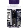 thumbnail image 2 of Sambucol, Black Elderberry, Immune Support Gummies with Vitamin C & Zinc, Natural Berry, 60 Gummies 2 Packs, 2 of 6