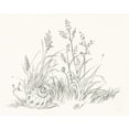 thumbnail image 2 of Nai, Danhui 24x20 White Modern Wood Framed Museum Art Print Titled - Farm Nostalgia Flowers VII Dark Gray, 2 of 4