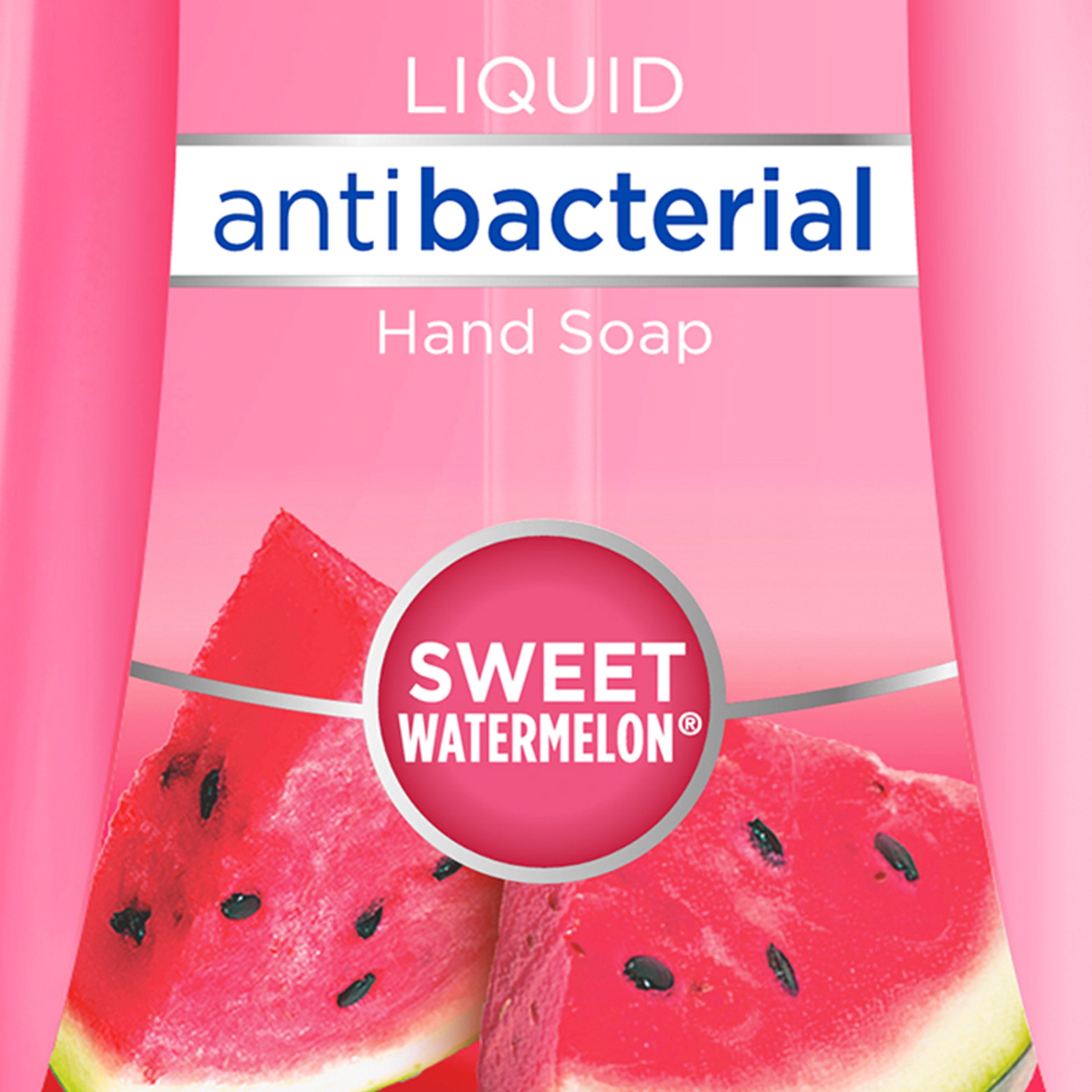Dial Antibacterial Hand Soap Watermelon 2025