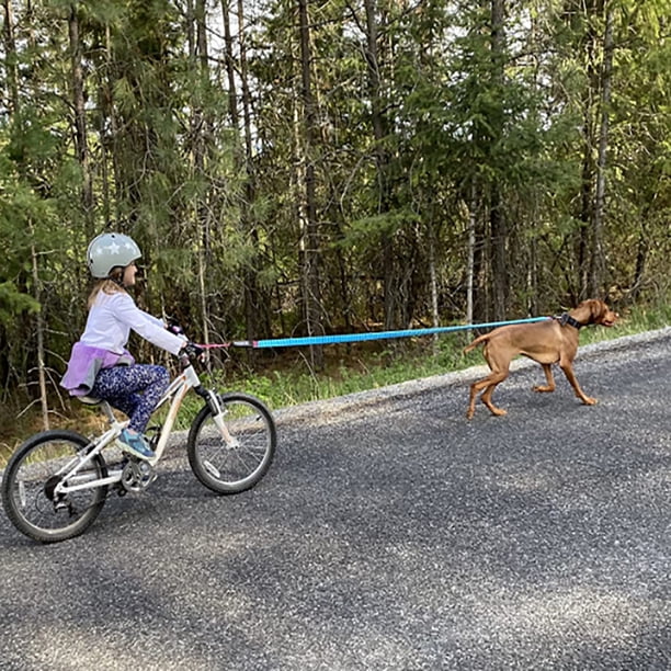 Corde De Remorquage Vélo Enfant – élastique 1,7-3 M, Charge 225 Kg, Mousqueton Métal, Pour VTT/route