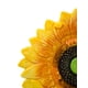 thumbnail image 3 of Bowl Galerias El Triunfo De Porcelana Amarilla Diseño Girasol, 3 of 3