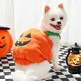 thumbnail image 4 of Perro Mascota Dos Patas Ropa Calabaza para Disfraces Halloween, 4 of 9