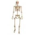 thumbnail image 1 of Squelette Parlant Animé Articulé Grandeur Nature de 5 Pieds LU Accessoire d'Halloween Maison Hantée, 1 of 1