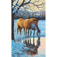 thumbnail image 3 of Paintworks Paint By Number 12x20" Reflections, 3 of 3