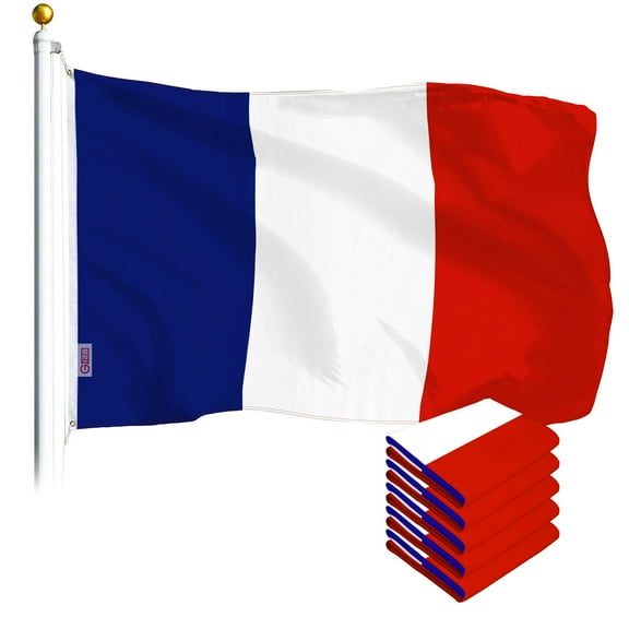 France French Flag 3x5FT 5-Pack Printed Polyester By G128