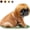golden, variant on Funny Adjustable Dog Cat Cosplay Wig Pet Headwear for Halloween Christmas Party Festivals for Small Medium Large Pets