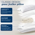 thumbnail image 2 of Almohadas Downluxe de Pluma y Plumón de Ganso 2-Pack Queen 51x71 cm, 2 of 9